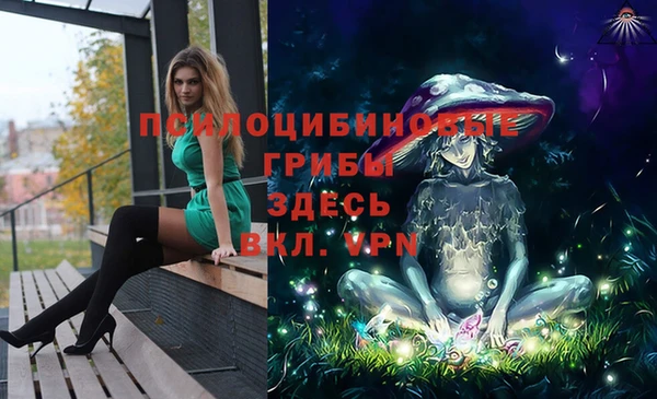 мдпв Алексин