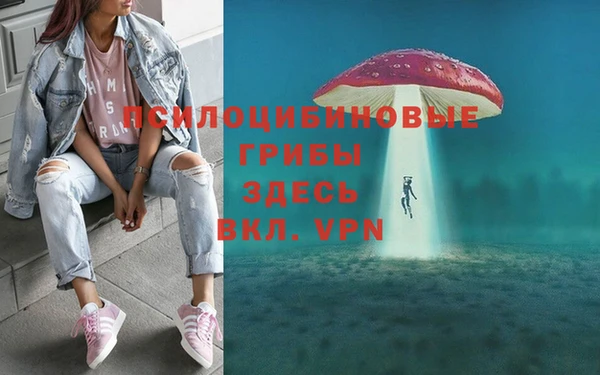 Альфа ПВП Алексеевка