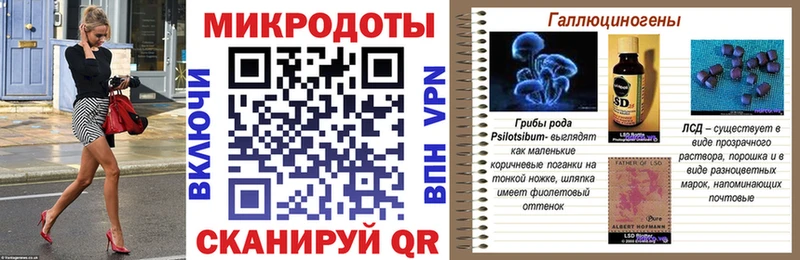 Галлюциногенные грибы Psilocybine cubensis  Слободской 